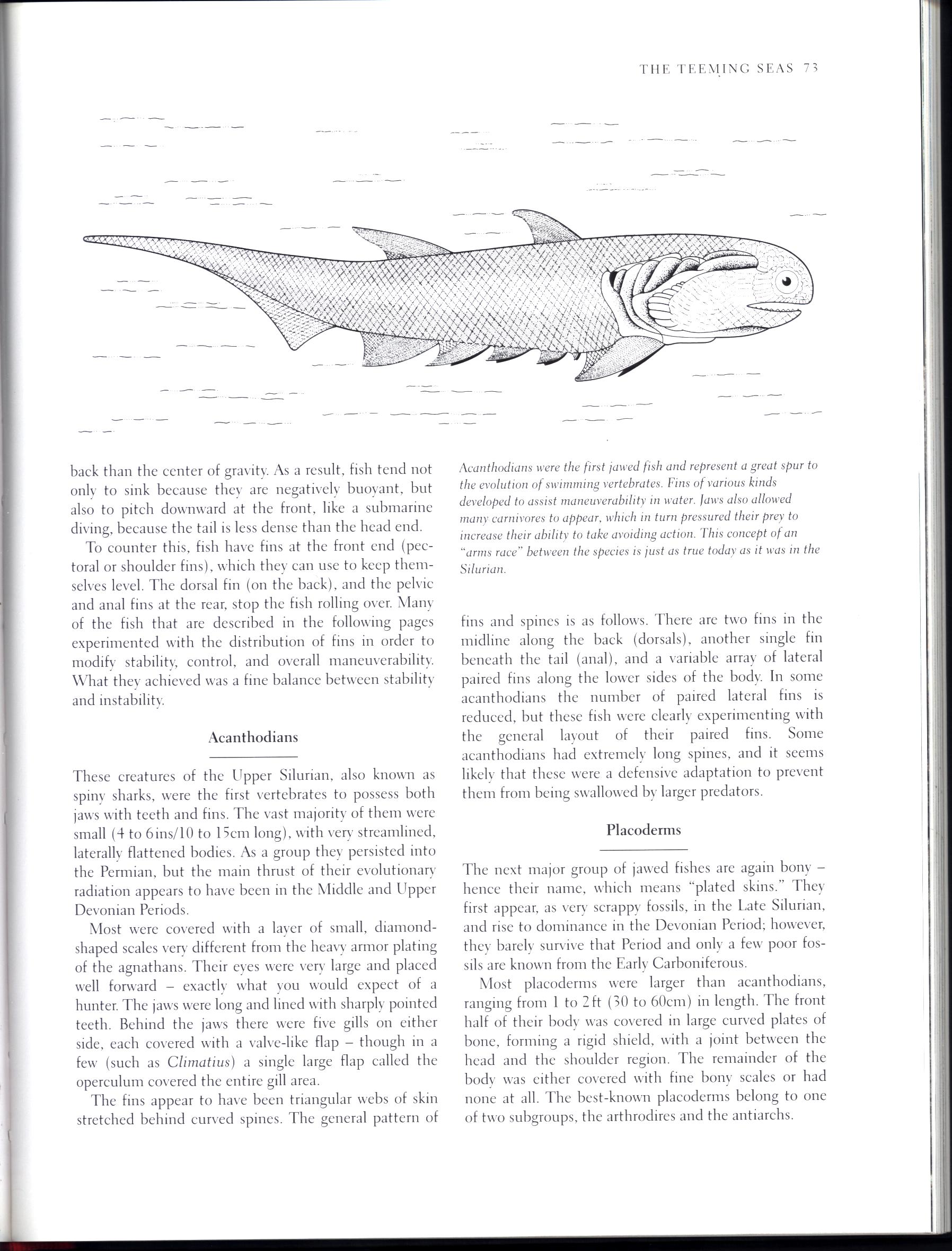 PREHISTORIC LIFE: the rise of the vertebrates. macm8538i